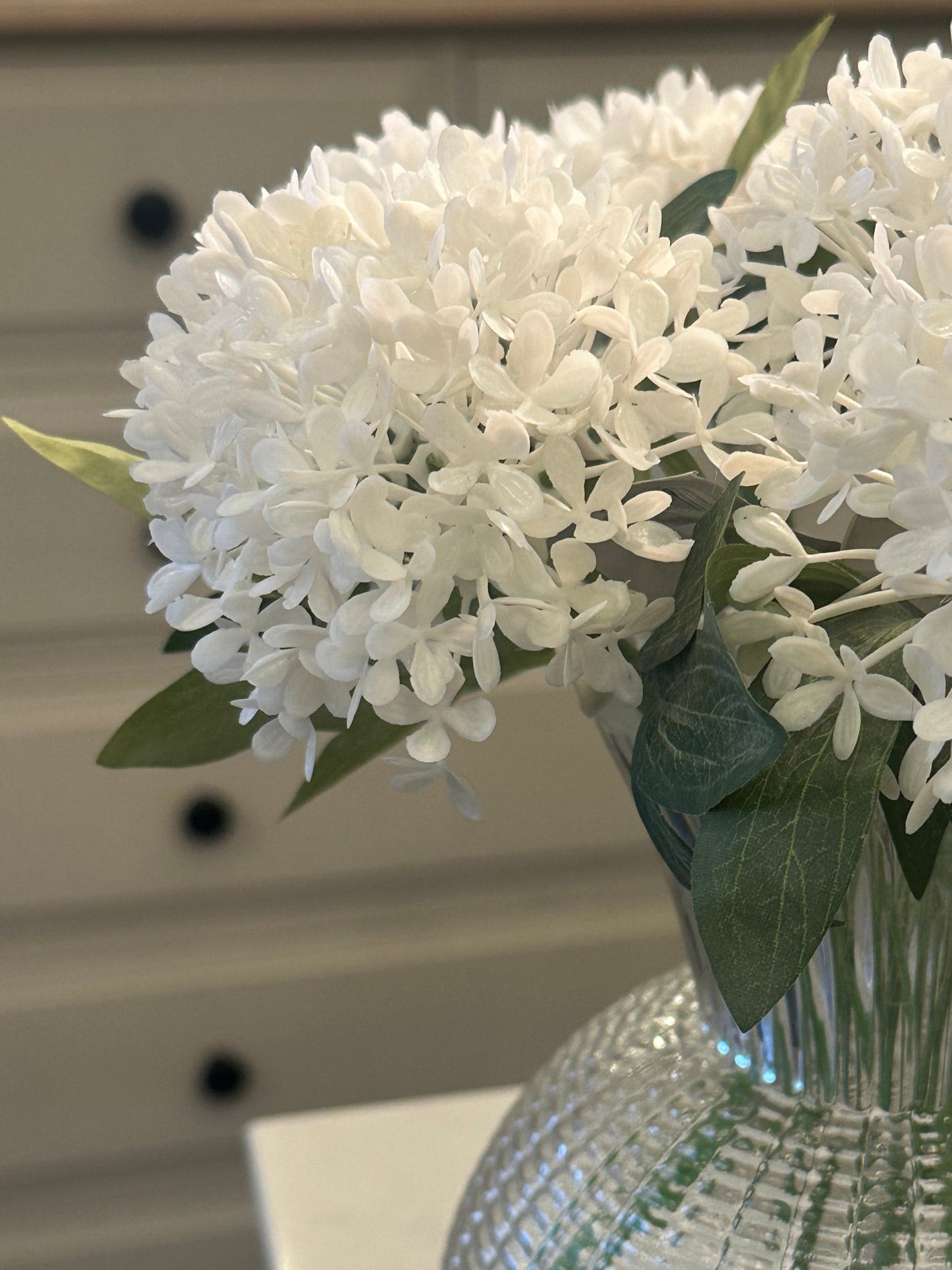 White Mini Hydrangea Josefina Online