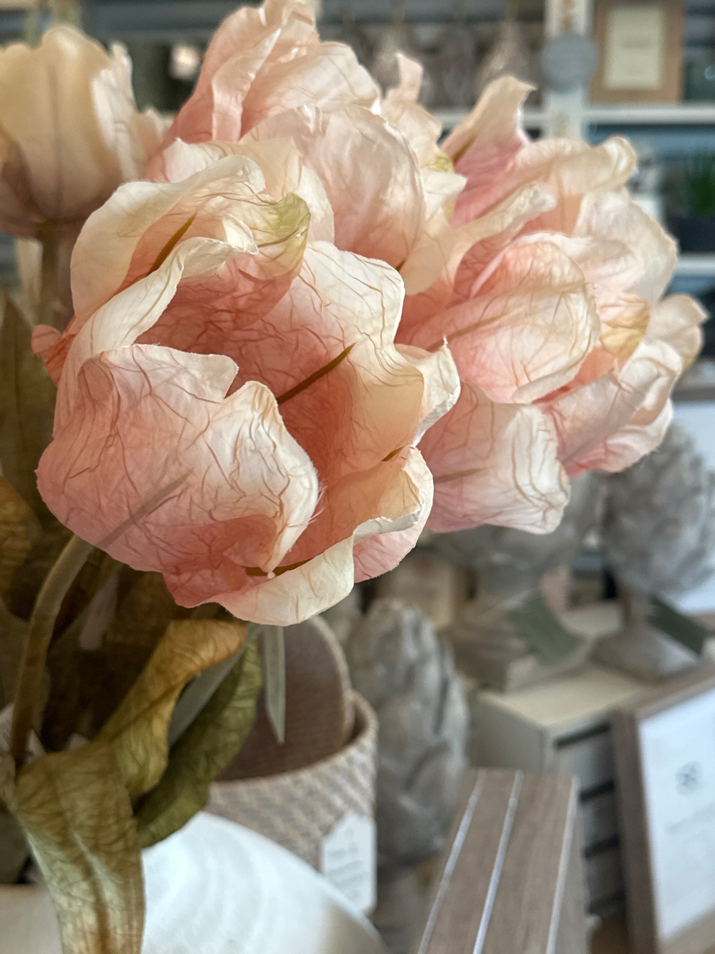 Large Tulip Stem - Dusty Pink