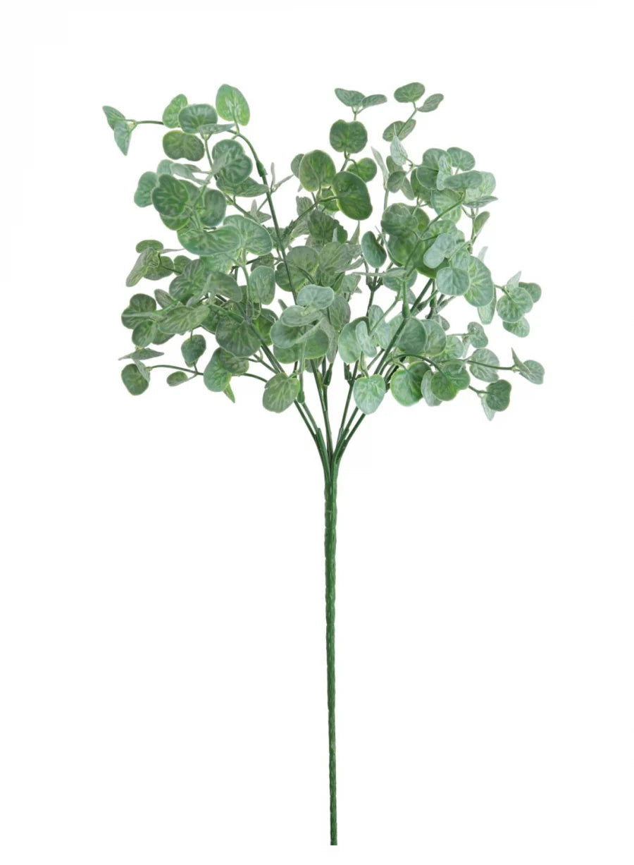 Eucalyptus Spray Josefina Online