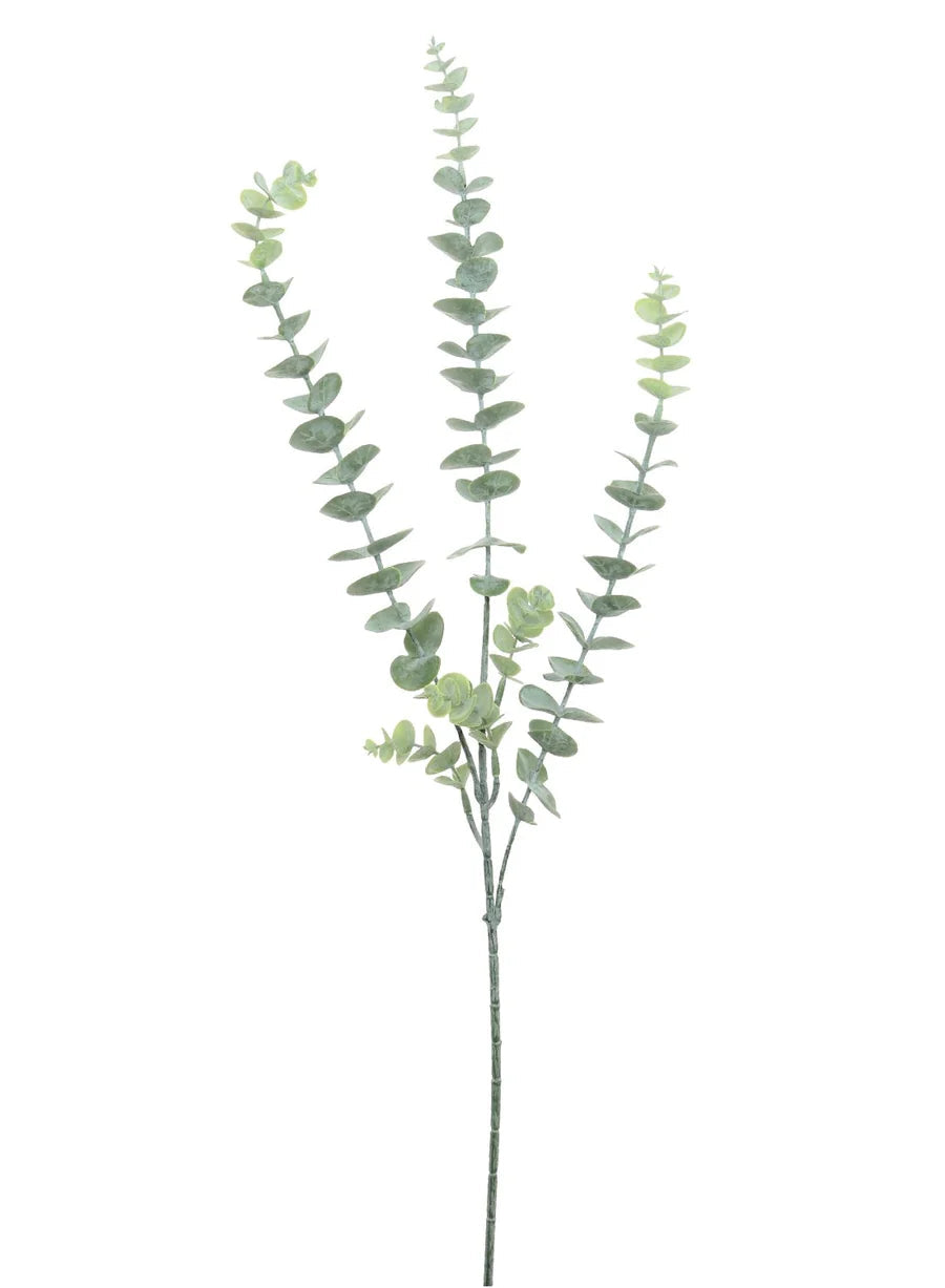 Dusted Eucalyptus Stem Josefina Online
