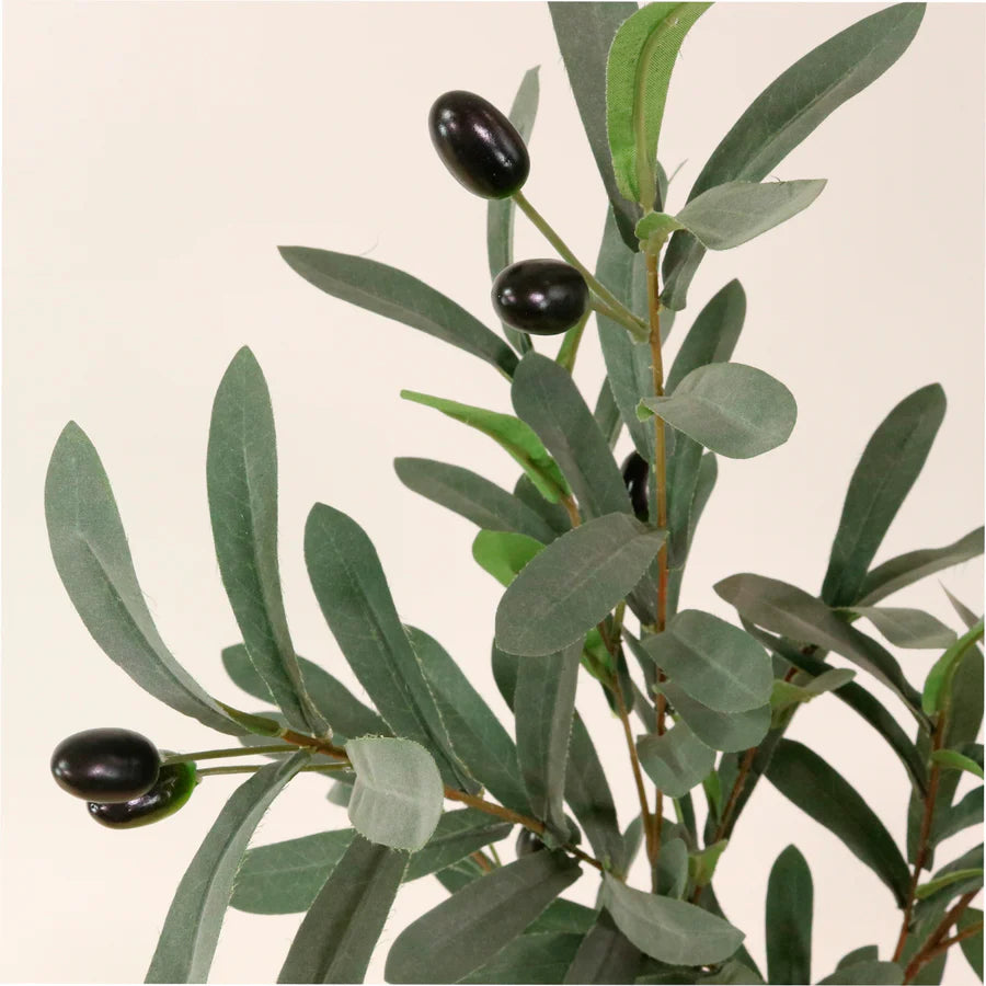 Olive Spray