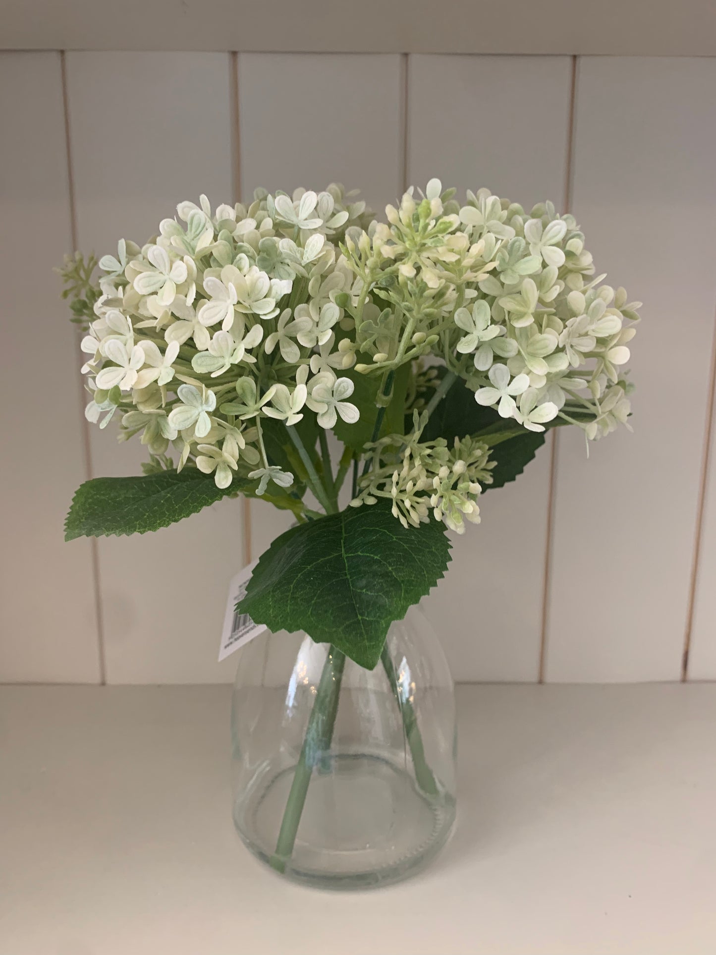 Hydrangea Vase Arrangement - Neutral