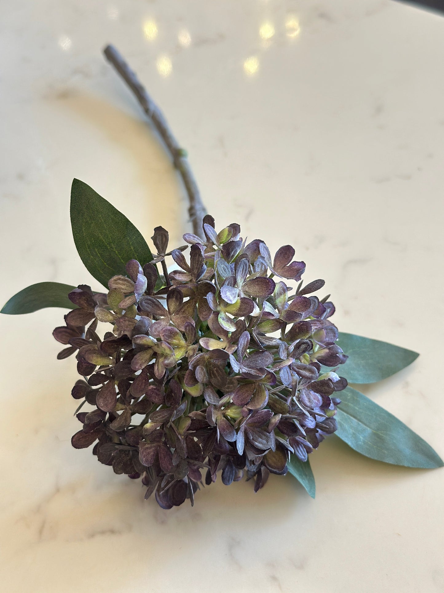 Purple Mini Hydrangea Josefina Online