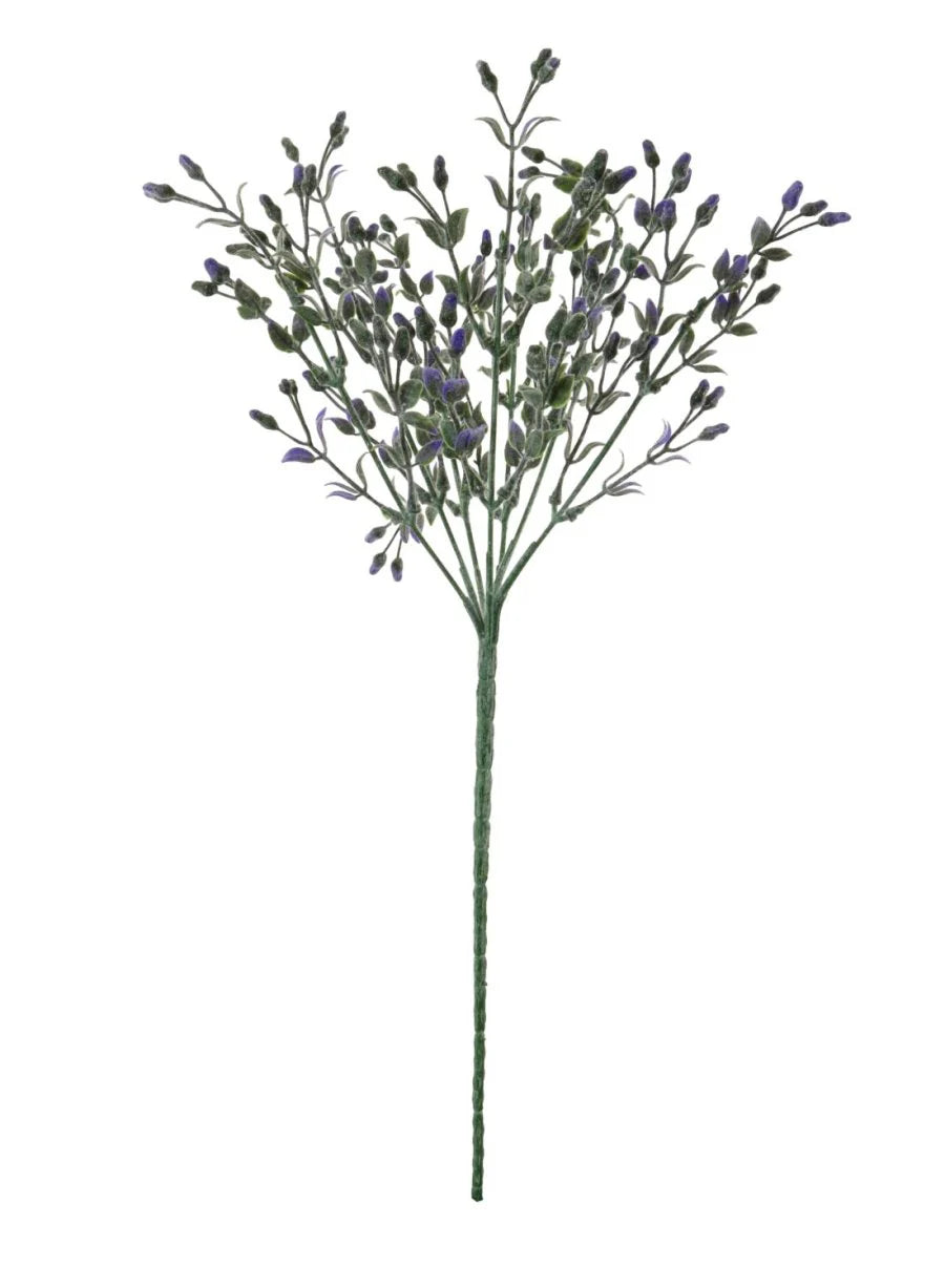 Jasmin Spray - Purple Josefina Online