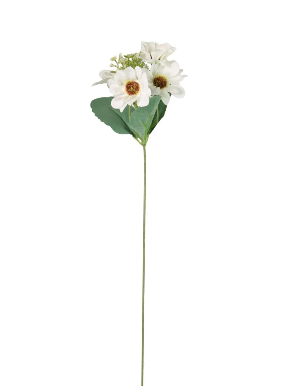 Daisy Sprig