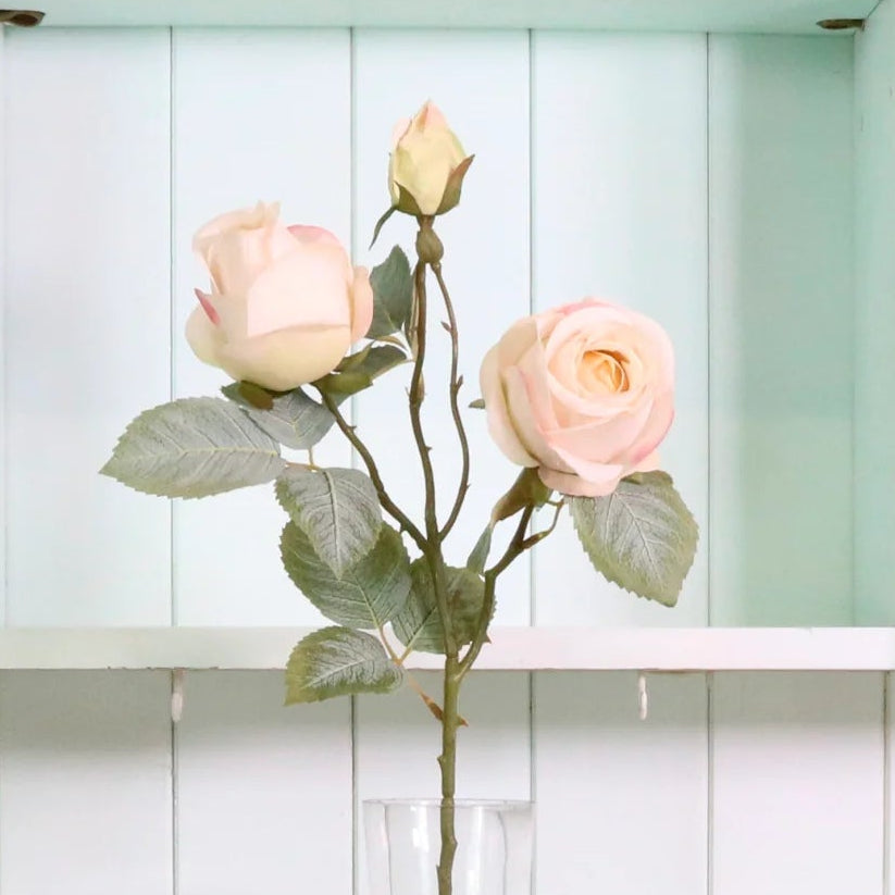 Rose Spray