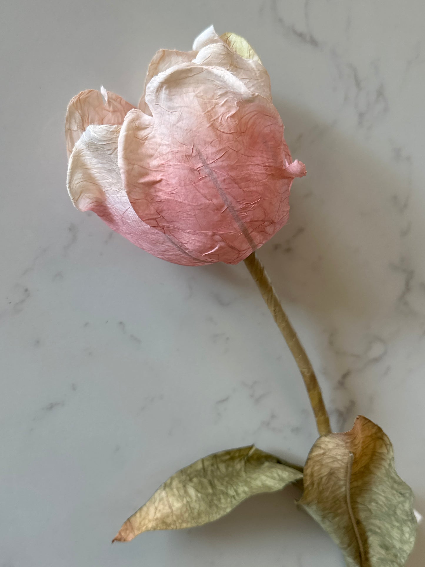Large Tulip Stem - Dusty Pink