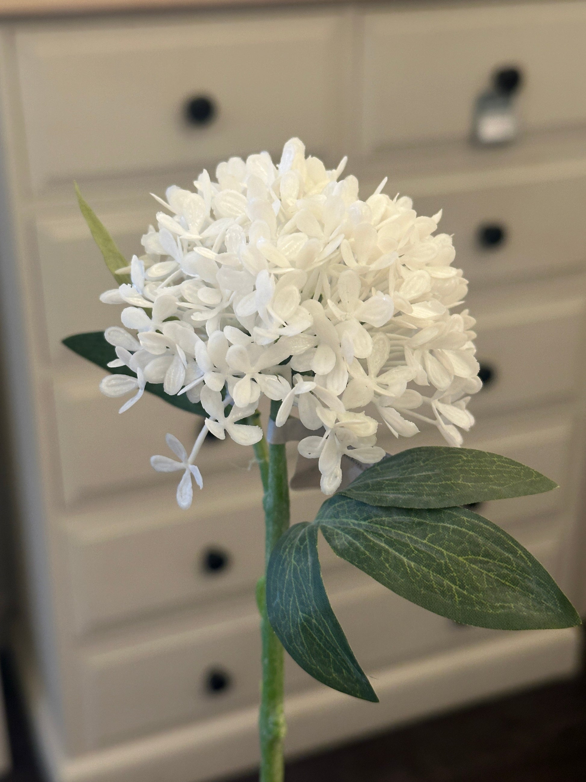 White Mini Hydrangea Josefina Online
