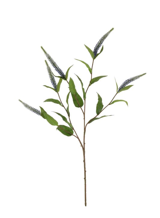 Blue Veronica Spray Stem