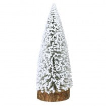 Tall White Brush Tree