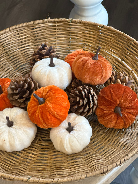 Pumpkins & Pinecones Box Set