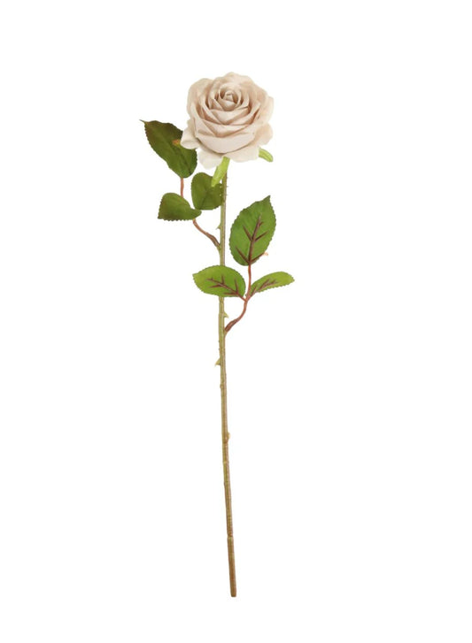 Nude Rose Stem
