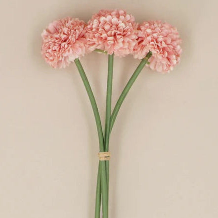 Pink Mini Ball Chrysanthemums