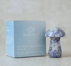 Serenity Crystal Mushroom - Sodalite