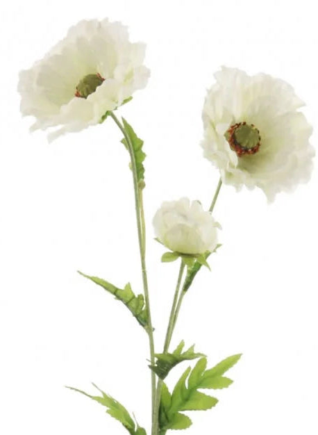 Silk Country Poppy