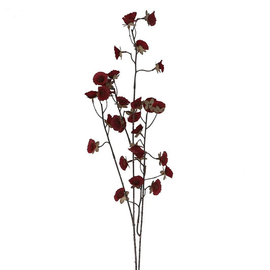 Burgundy Mini Morning Glory Spray